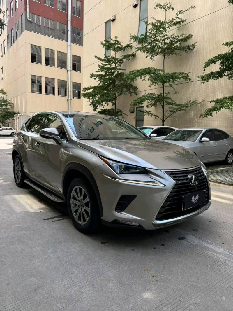 18年广州雷克萨斯NX