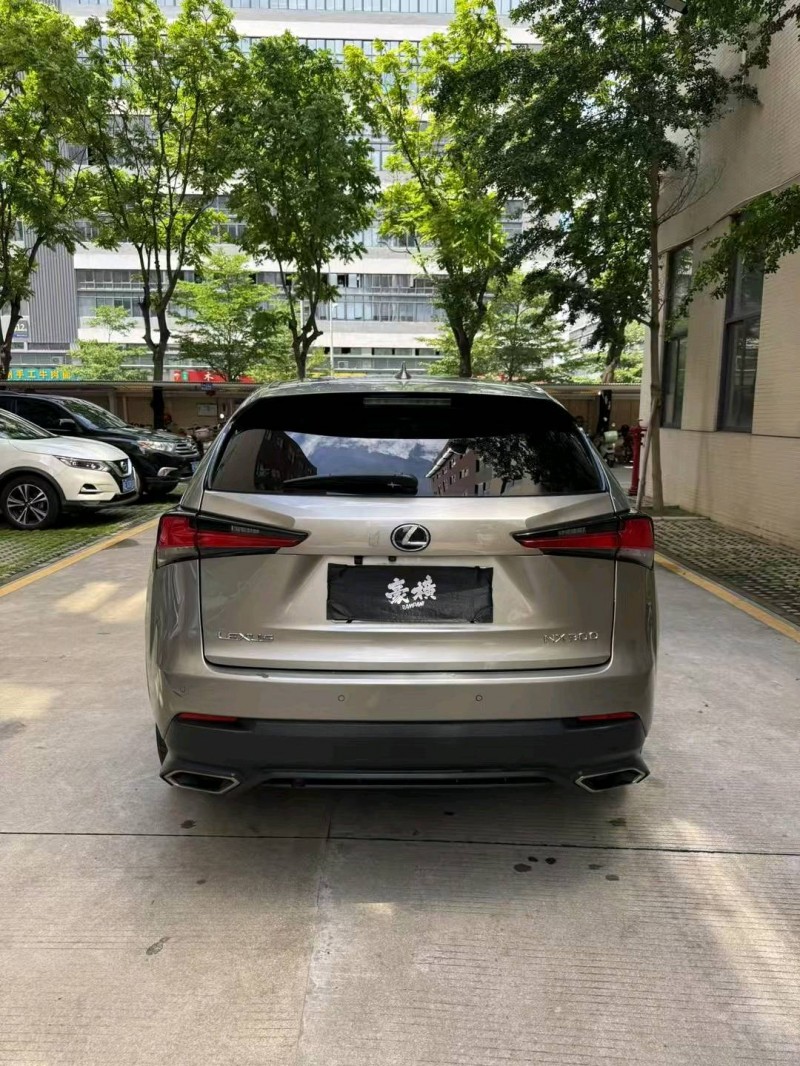 18年广州雷克萨斯NX