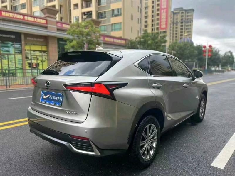 20年广州雷克萨斯NX
