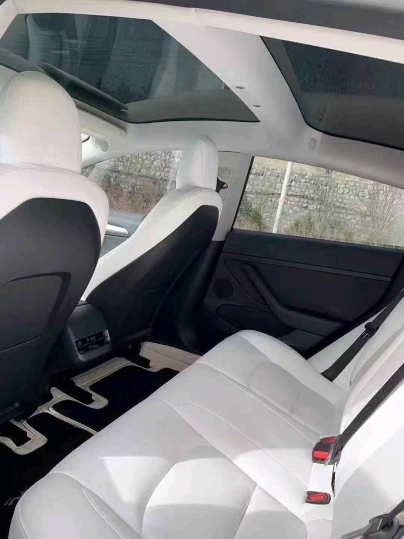 21年邯郸特斯拉MODEL 3