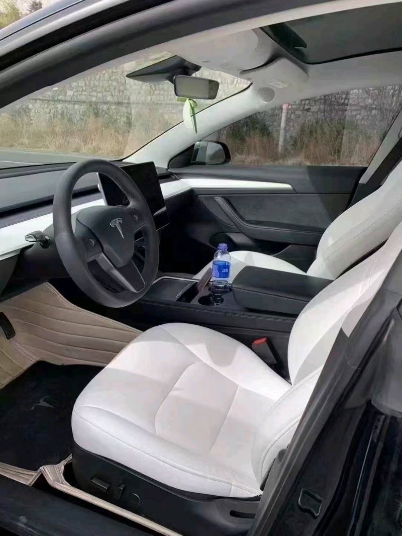 21年邯郸特斯拉MODEL 3