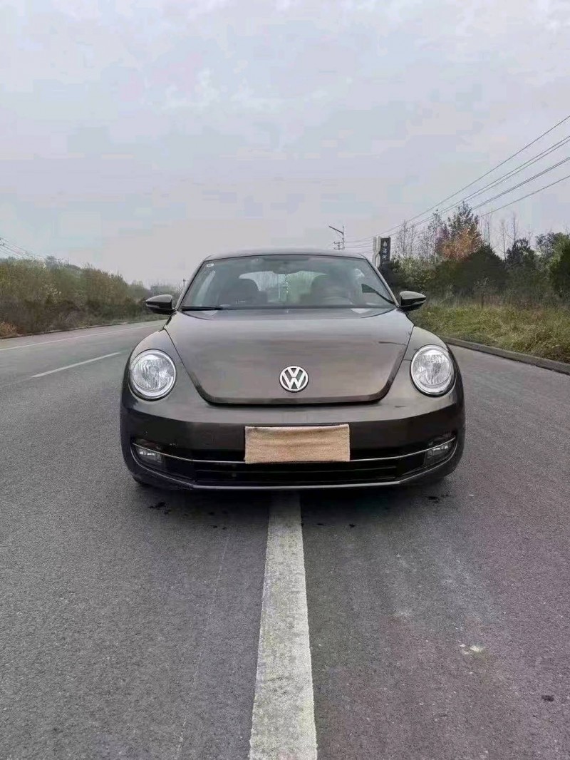 15年邯郸大众甲壳虫