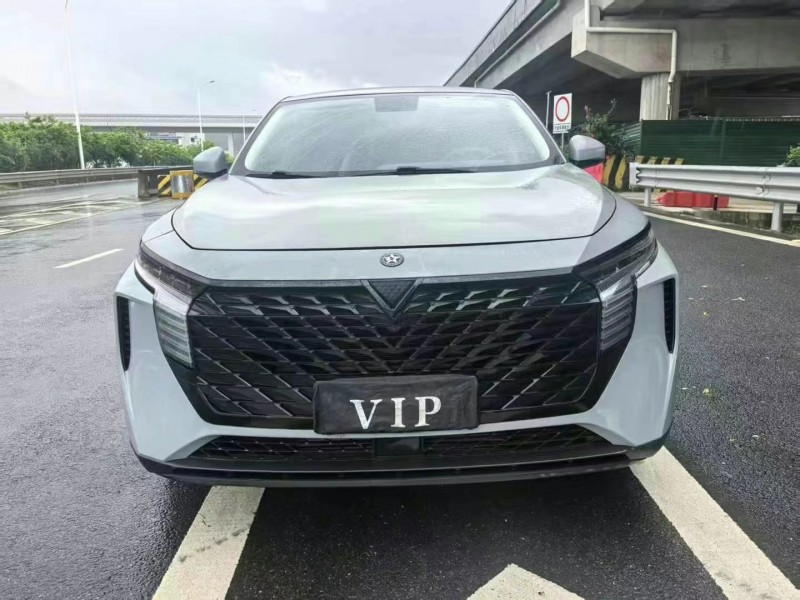 22年广州启辰大V