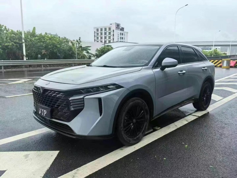 22年广州启辰大V