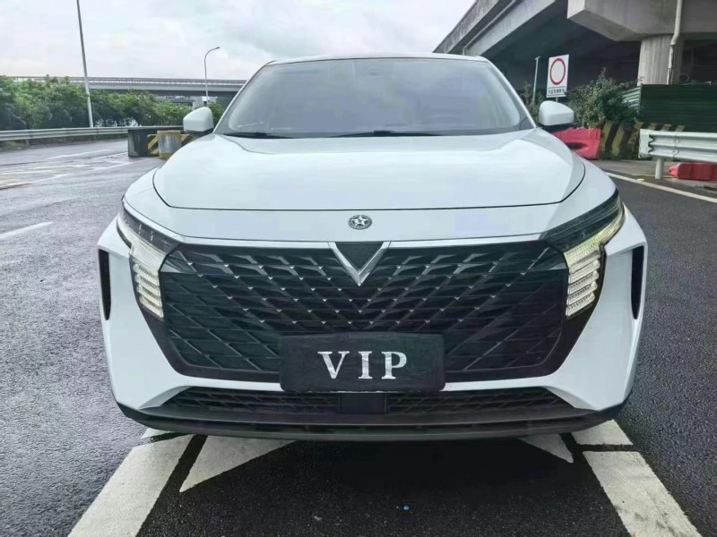 23年广州启辰大V