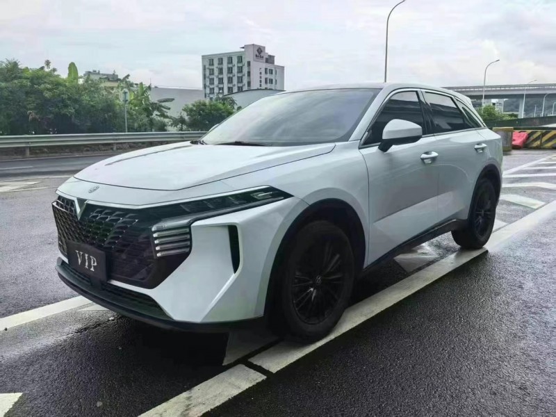 23年广州启辰大V