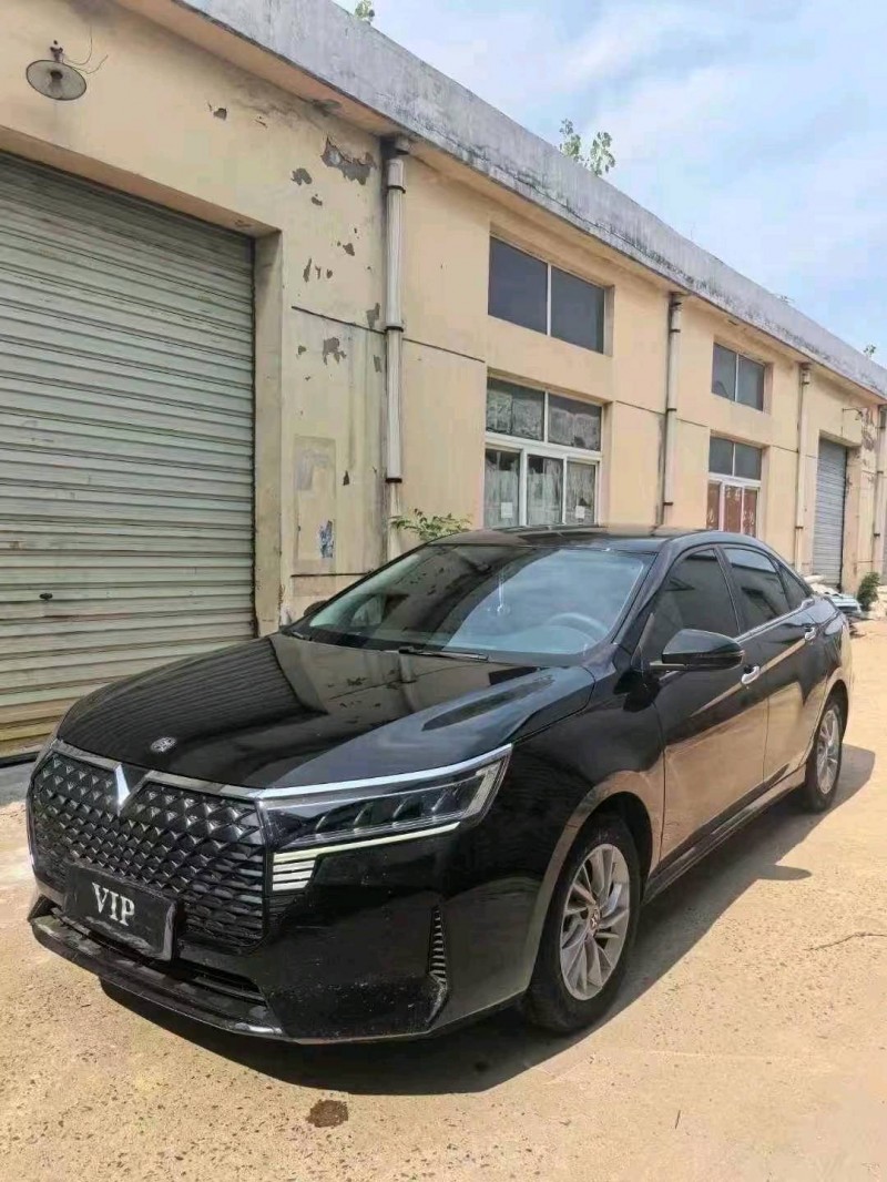 24年泰州启辰D60
