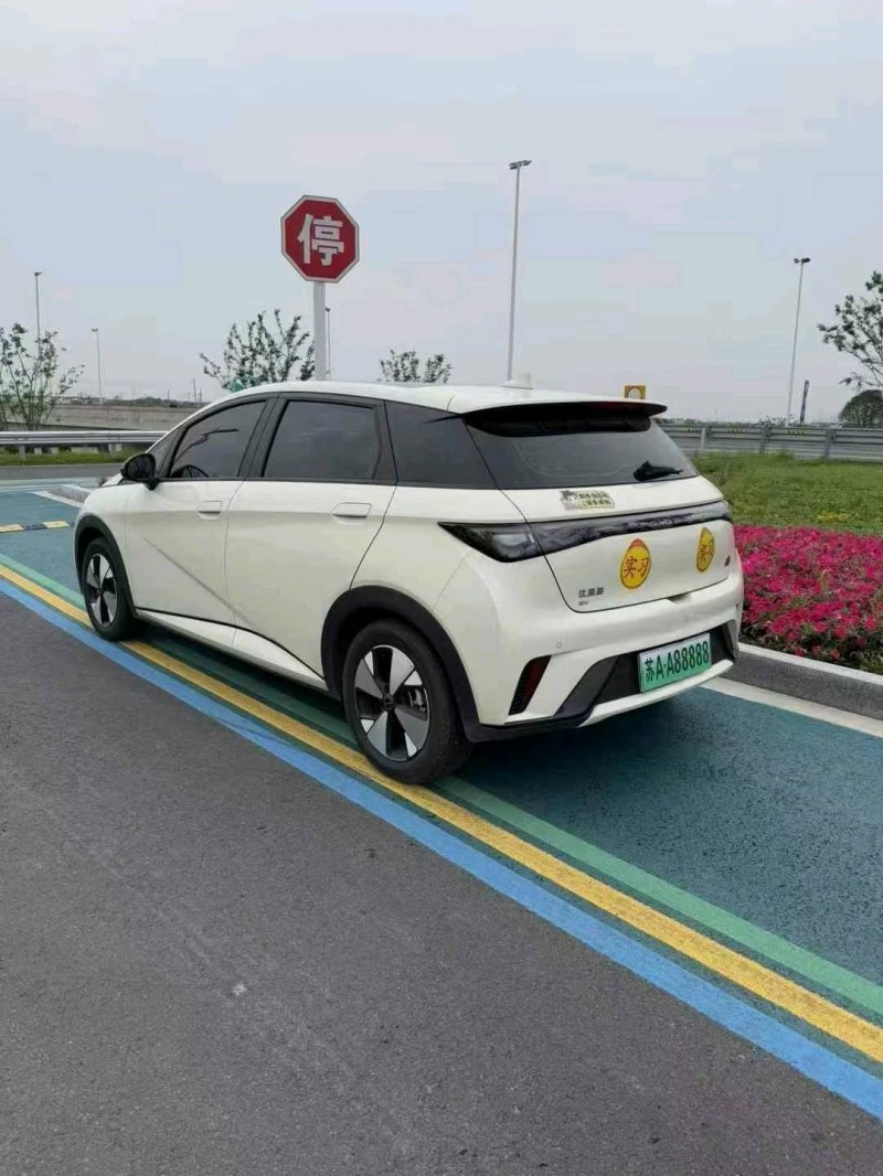 24年南京比亚迪海豚