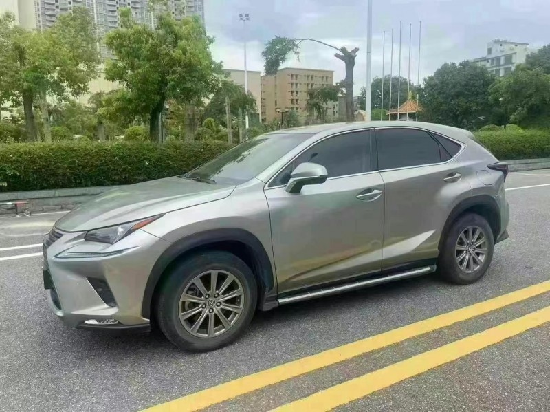 18年潮汕雷克萨斯NX