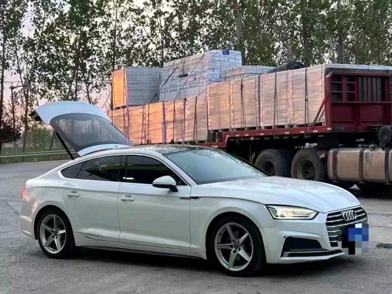 18年荷泽奥迪A5