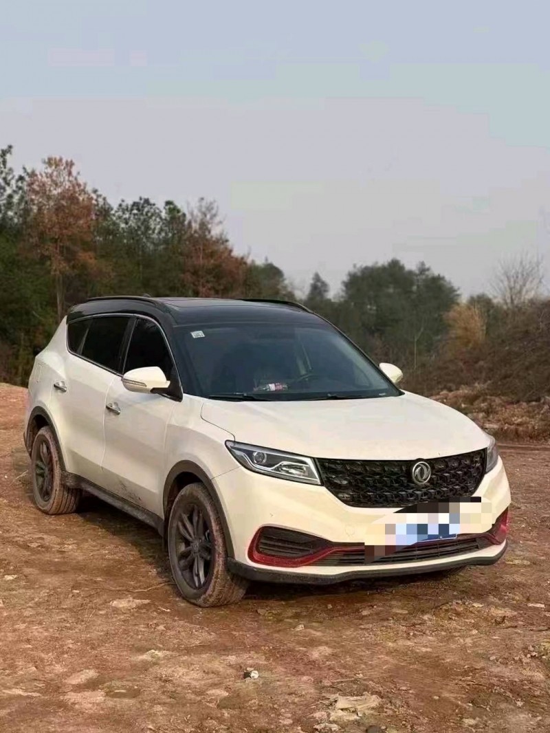 21年金华东风风光