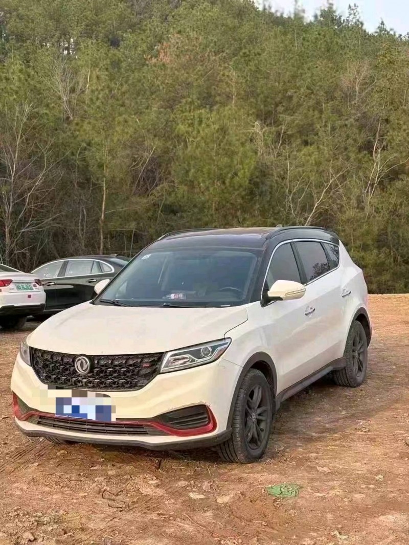 21年金华东风风光
