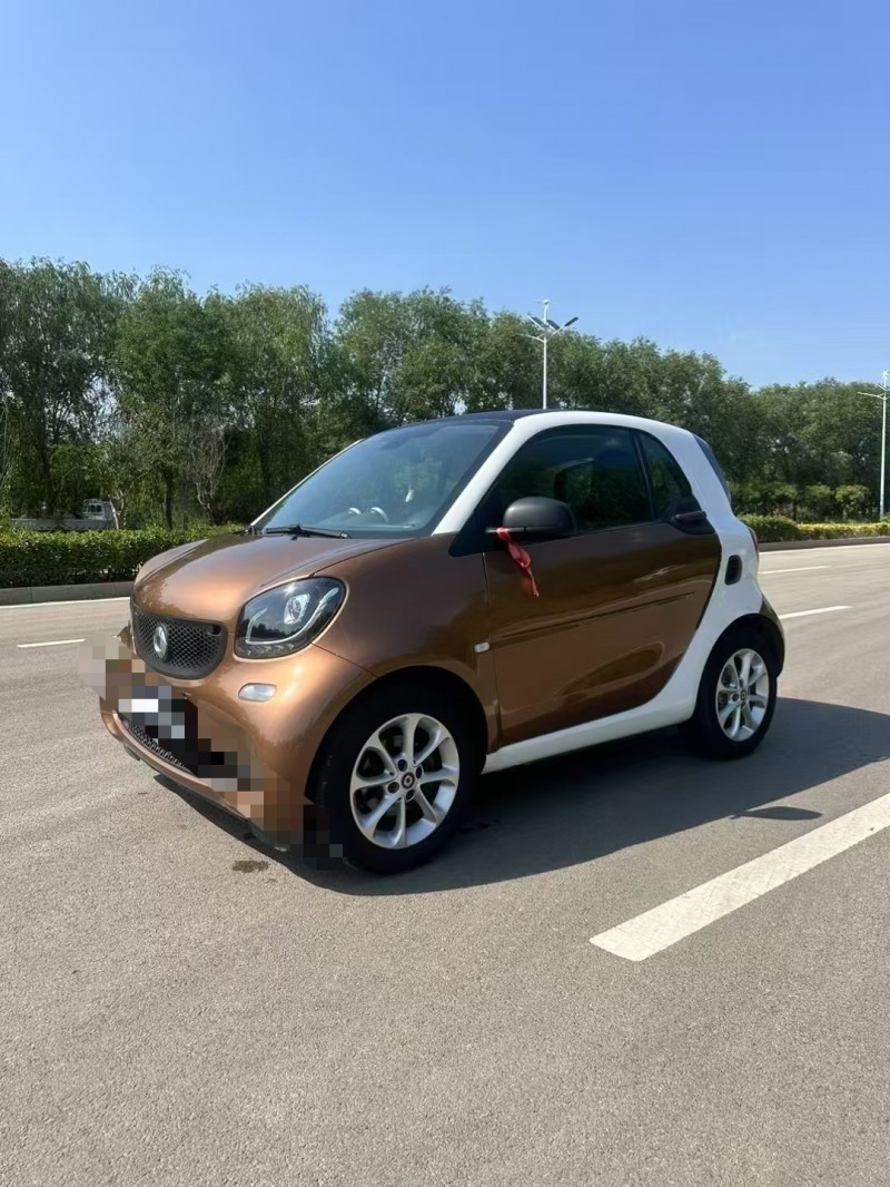 16年枣庄奔驰smart