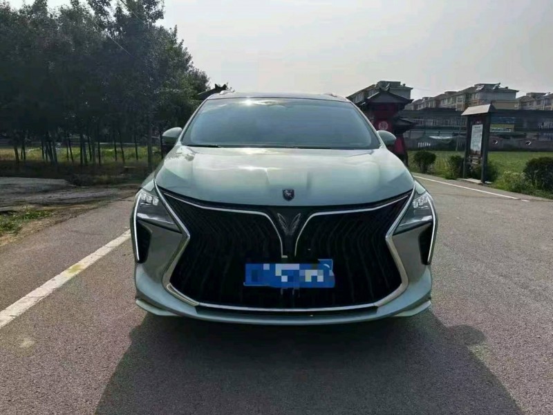 22年济宁东风风行游艇
