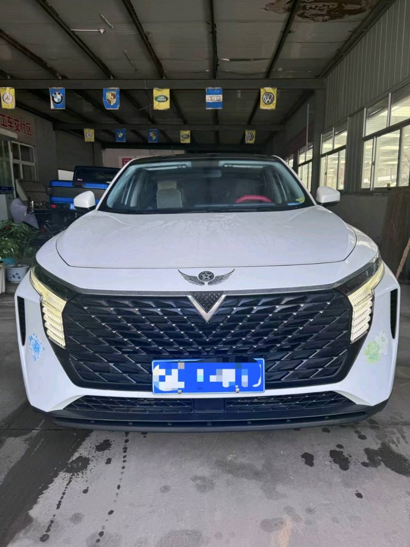 22年潍坊启辰大V