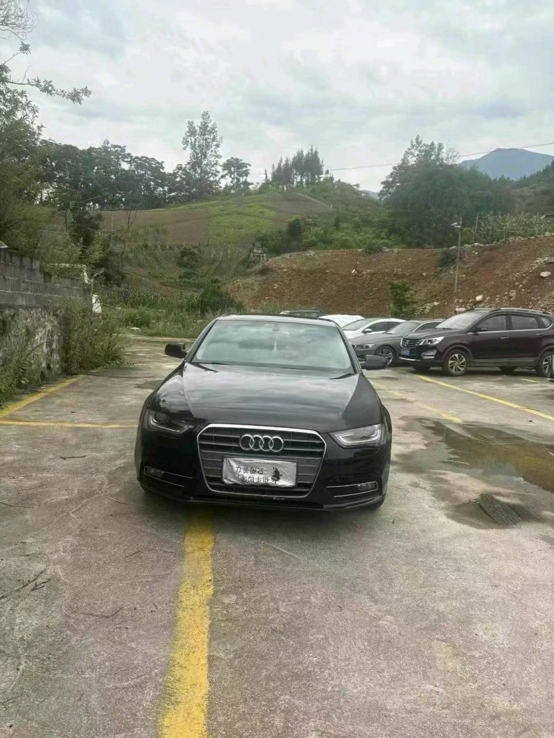 15年重庆市奥迪A4L