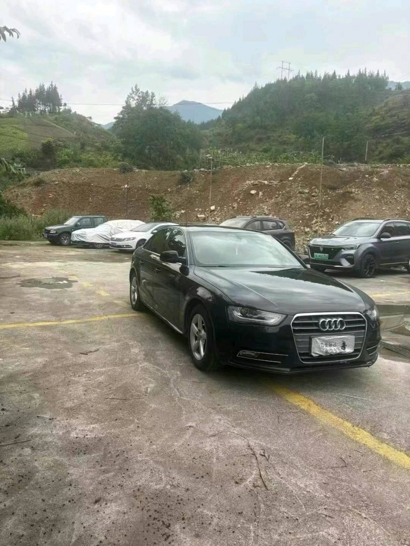 15年重庆市奥迪A4L