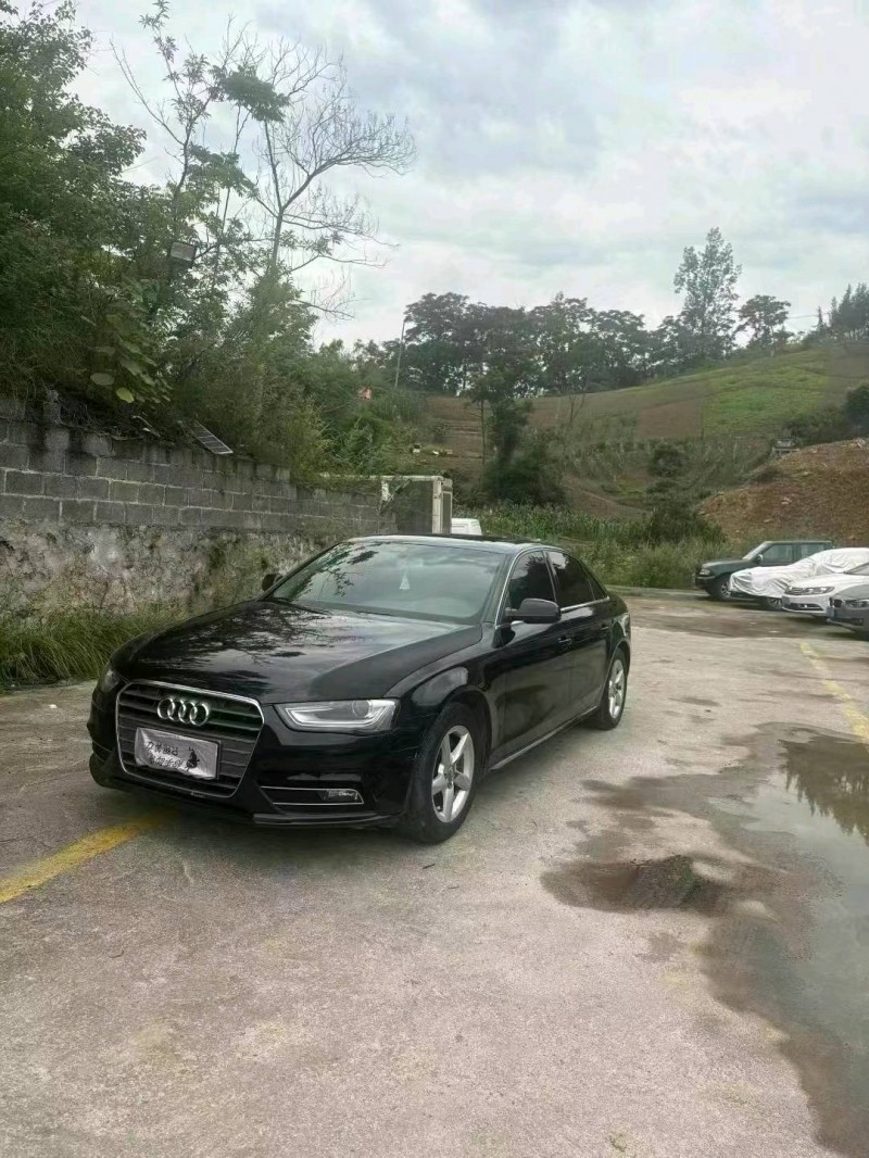15年重庆市奥迪A4L