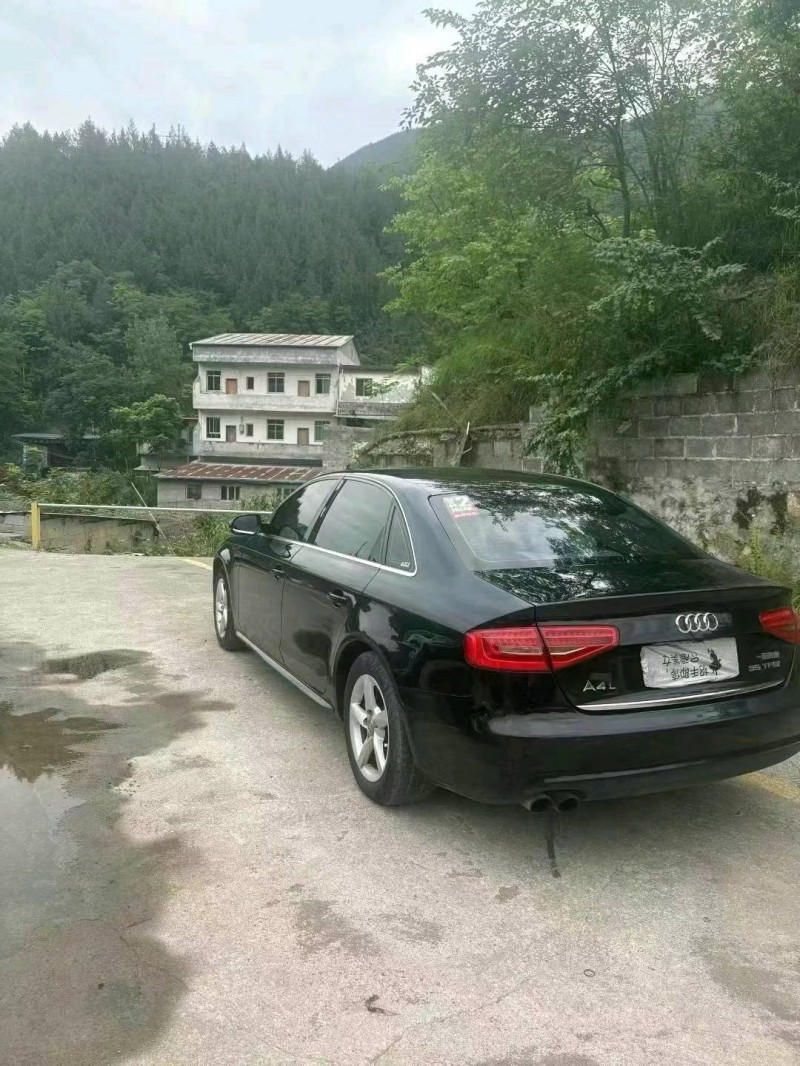 15年重庆市奥迪A4L