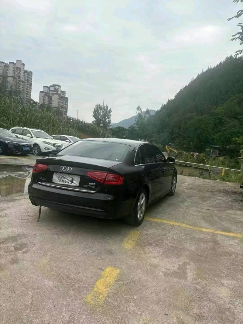 15年重庆市奥迪A4L