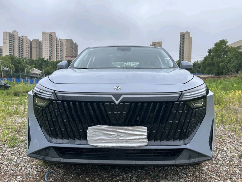 25年长沙启辰大V