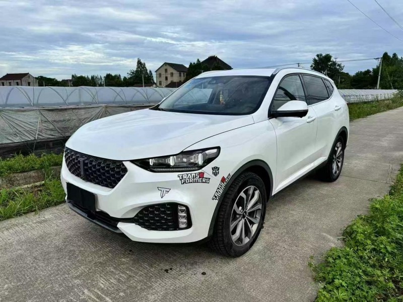 20年枣庄长城汽车WEY VV5
