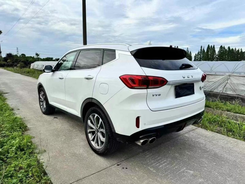 20年枣庄长城汽车WEY VV5