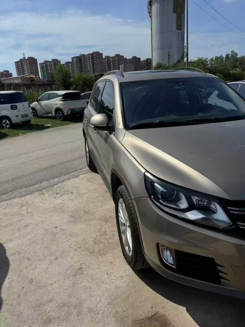 17年荷泽大众途观
