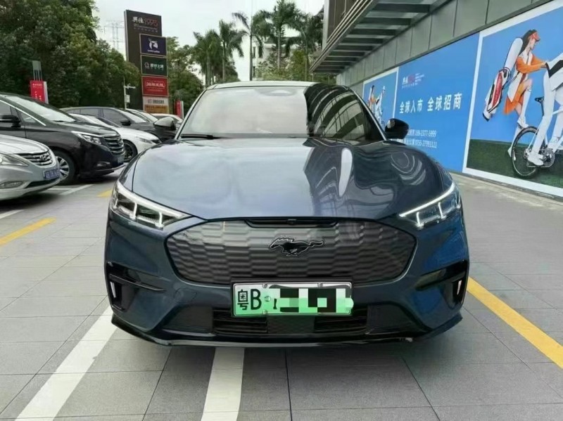 24年广州福特电马