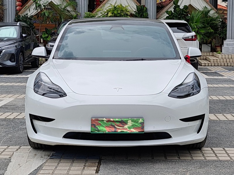 21年东莞市特斯拉MODEL 3
