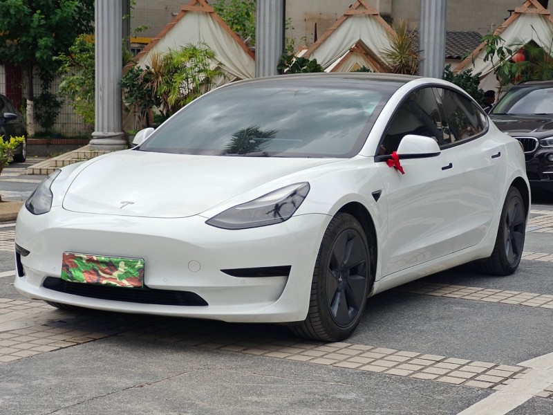 21年东莞市特斯拉MODEL 3