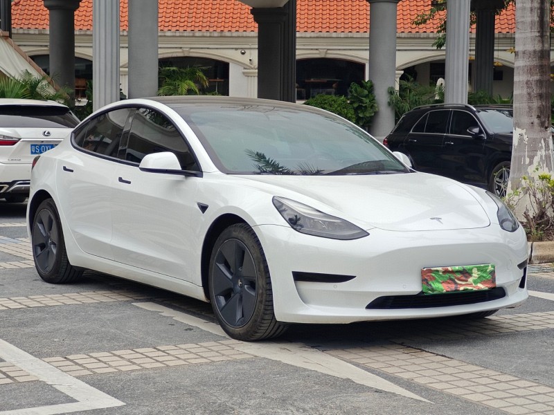 21年东莞市特斯拉MODEL 3