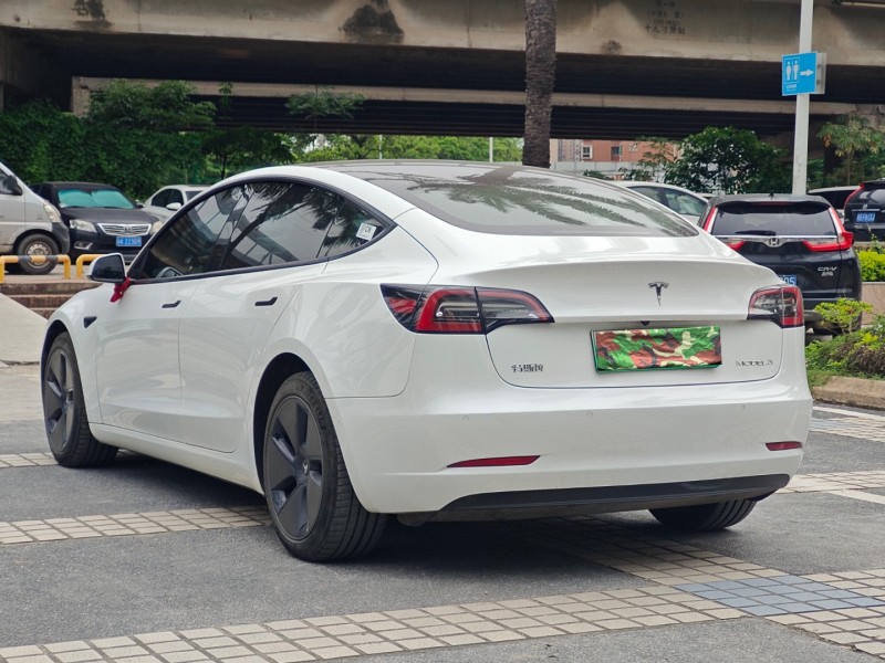 21年东莞市特斯拉MODEL 3