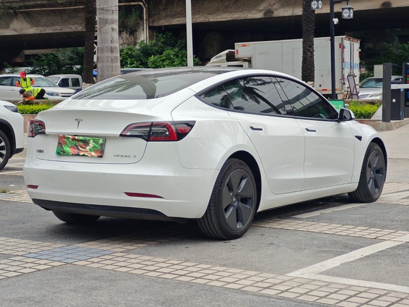 21年东莞市特斯拉MODEL 3
