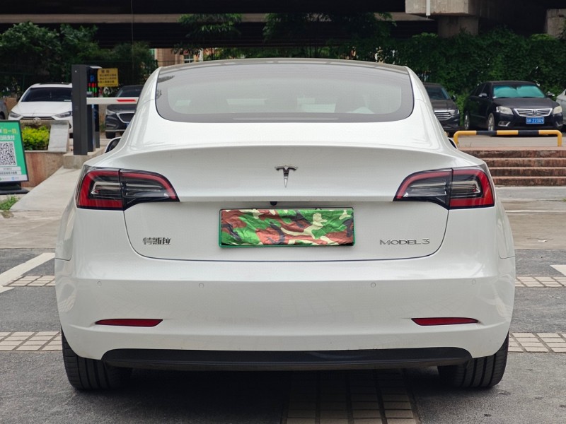 21年东莞市特斯拉MODEL 3