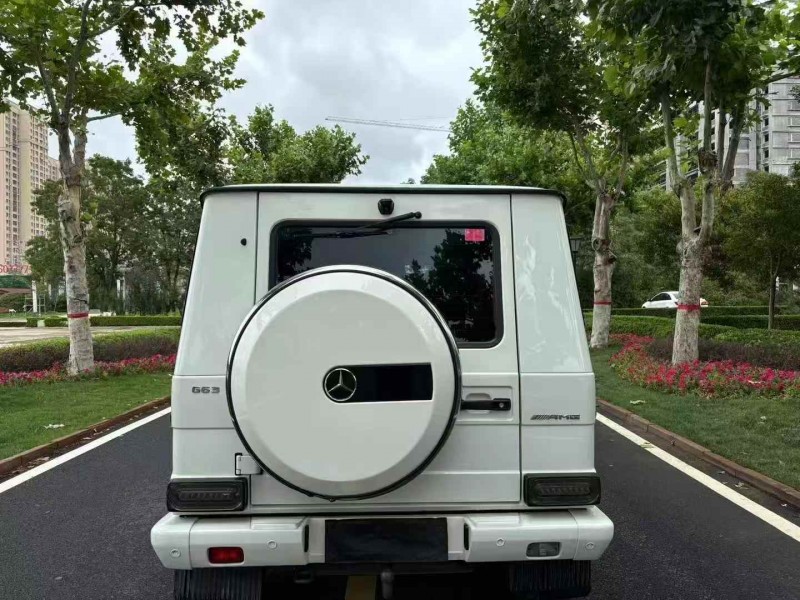 19年济宁奔驰G