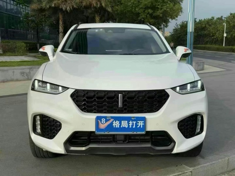 19年东莞市长城汽车WEY VV7