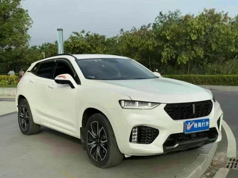 19年东莞市长城汽车WEY VV7