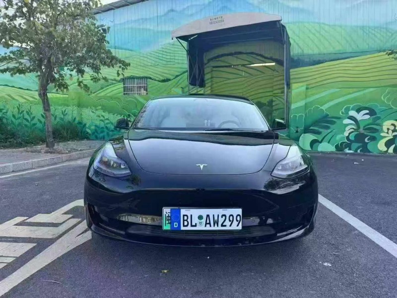 22年湛江特斯拉MODEL 3