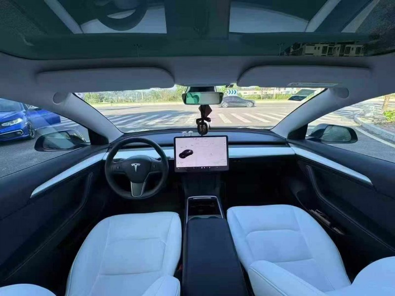 22年湛江特斯拉MODEL 3
