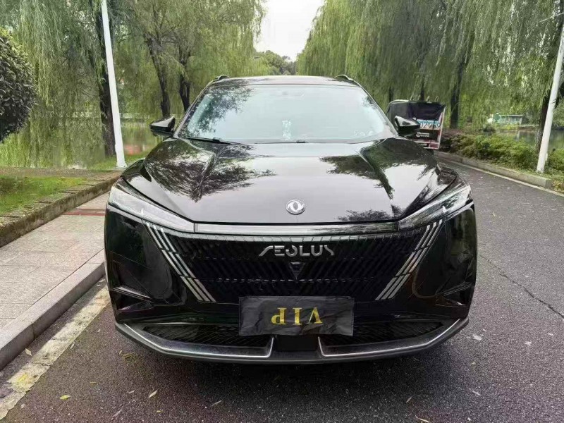 24年景德镇东风皓极