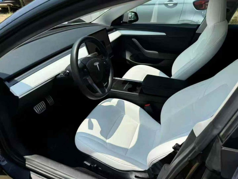 22年枣庄特斯拉MODEL 3