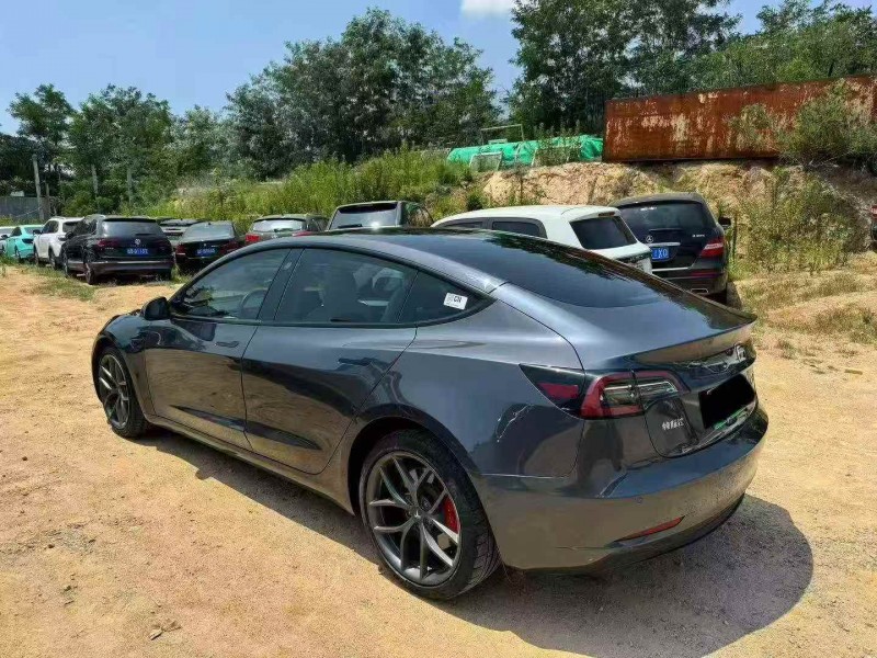 22年枣庄特斯拉MODEL 3