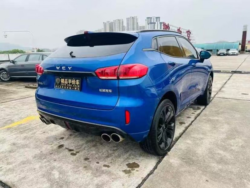 18年东莞市长城汽车WEY VV5