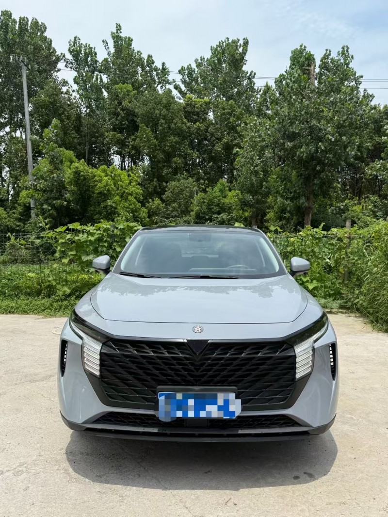 22年绍兴启辰大V