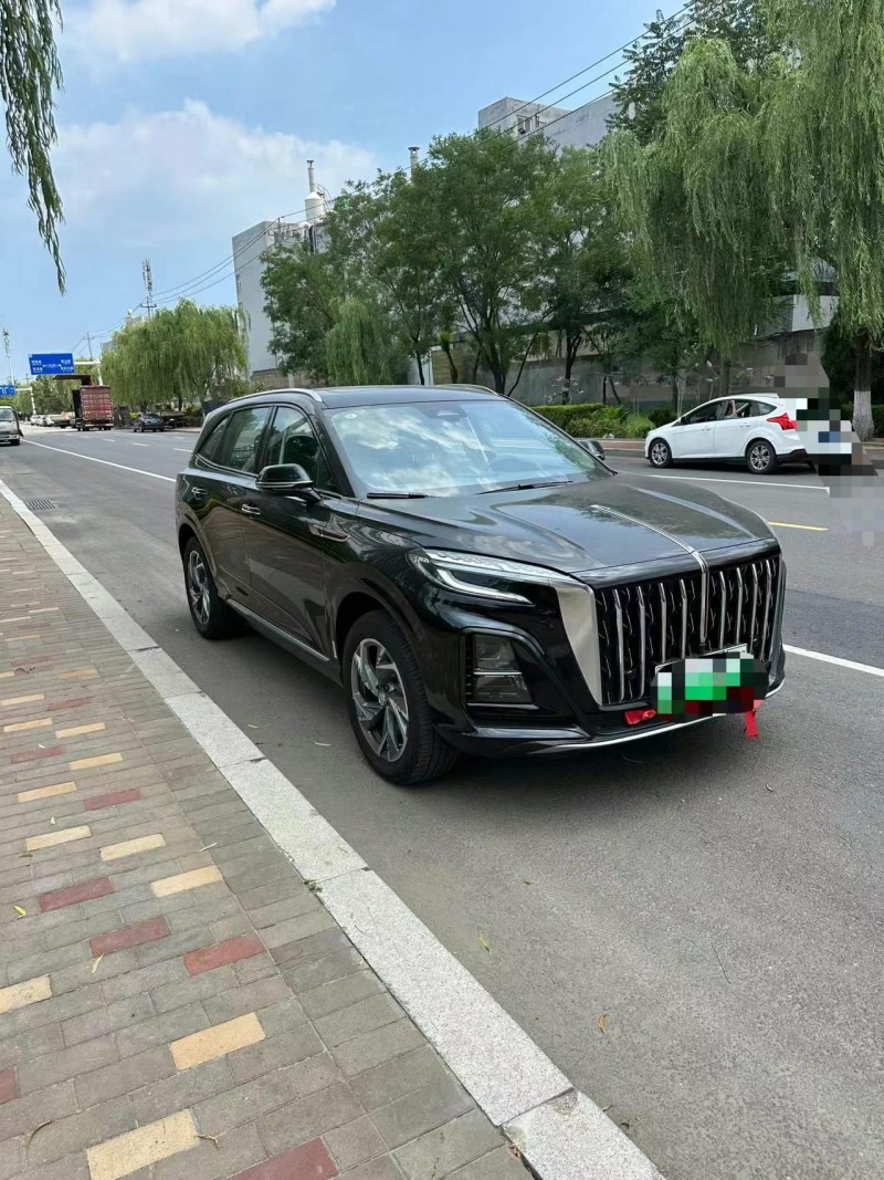 25年枣庄红旗HS3
