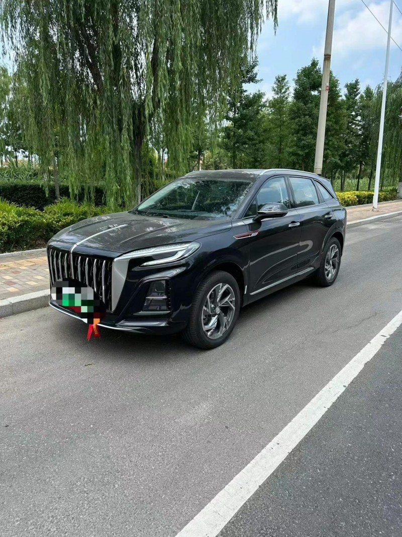 25年枣庄红旗HS3