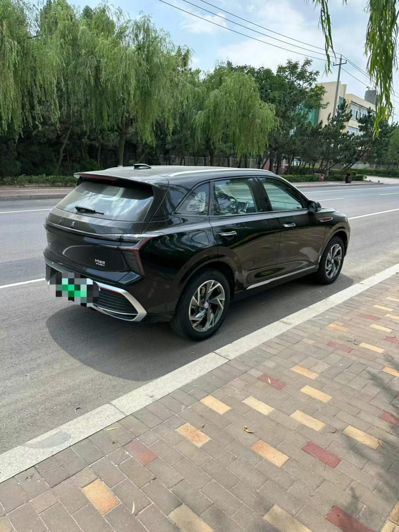 25年枣庄红旗HS3