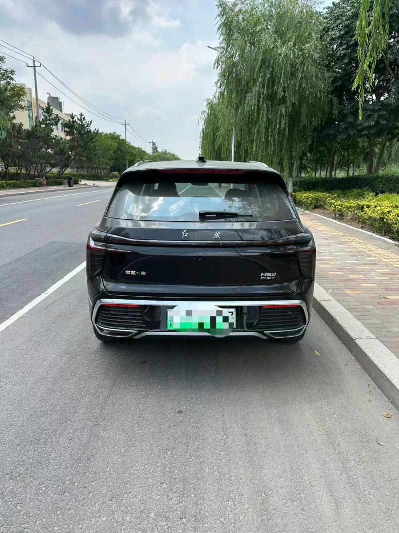 25年枣庄红旗HS3