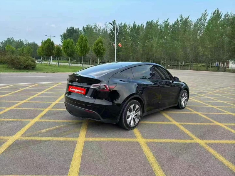 22年邢台特斯拉MODEL Y